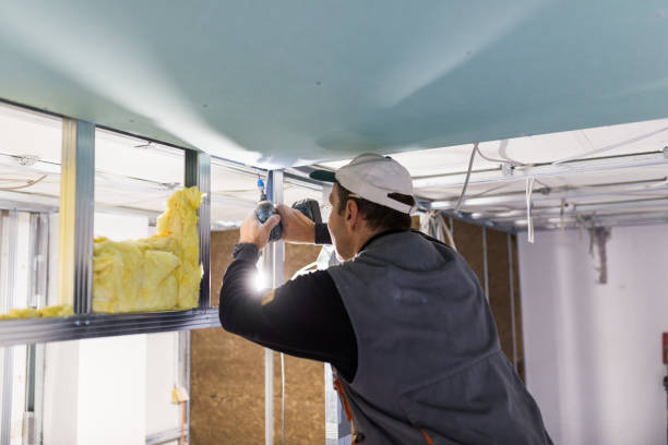 Best Geographic-Specific Insulation Services in Chico, CA