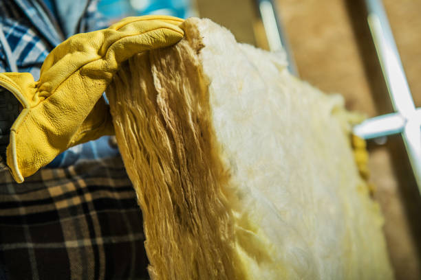 Best Eco-Friendly Insulation in Chico, CA