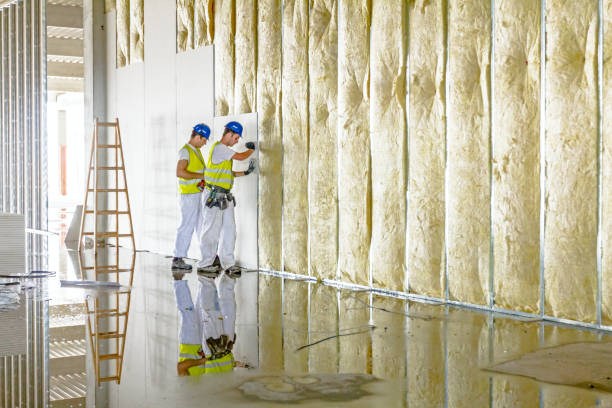 Best Cellulose Insulation in Chico, CA